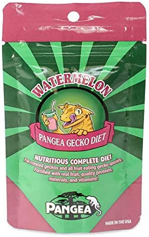 Pangea crested 2025 gecko food