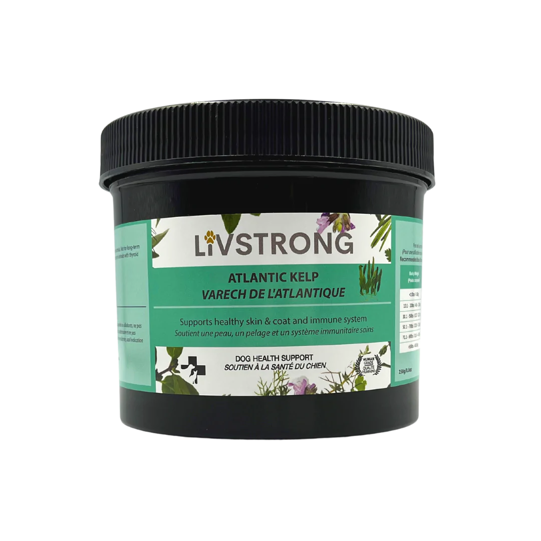 Livstrong Atlantic Kelp Powder The Beastiary