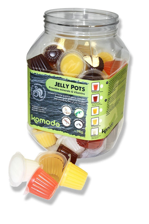 Komodo Jelly Pot - Random Flavour