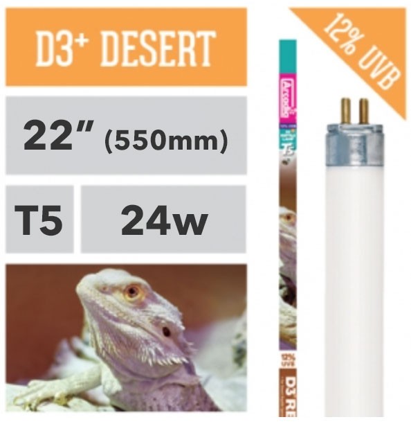 D3 store reptile lamp