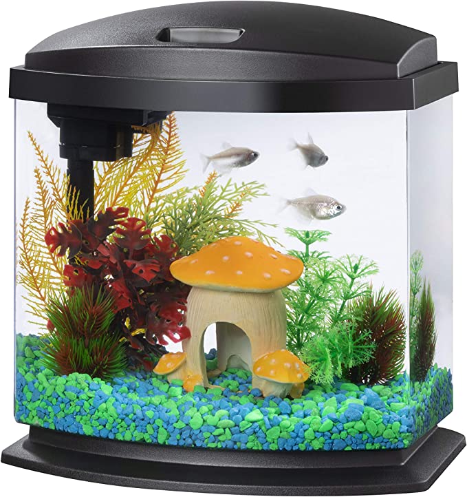 Aqueon LED MiniBow Small Aquarium Fish Tank Kit with SmartClean Techno –  The Beastiary