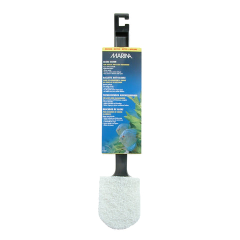 Marina Medium Algae Scrubber with Plastic Handle