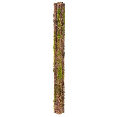Mossy Ghalo Branch 10-12" (3/Pack)