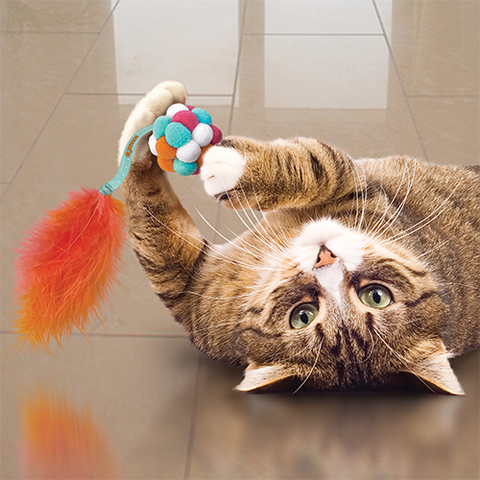 KONG Bubble Ball Cat Toy