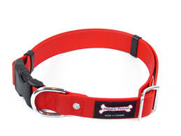 Smoochy Poochy Waterproof Collar Quick-Release Buckle