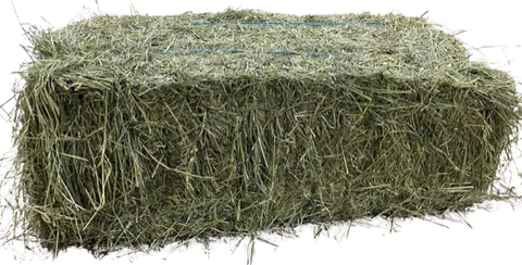 Hay Country Farmer's Secret Blend Hay - Half Bale