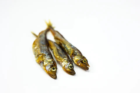 Just Raw - Dehydrated Capelin Treats - 100g