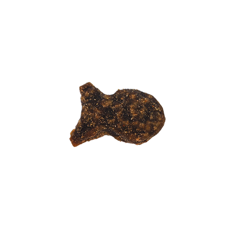 KONG Nibbies Whitefish Crunchy Cat Treats - 2oz