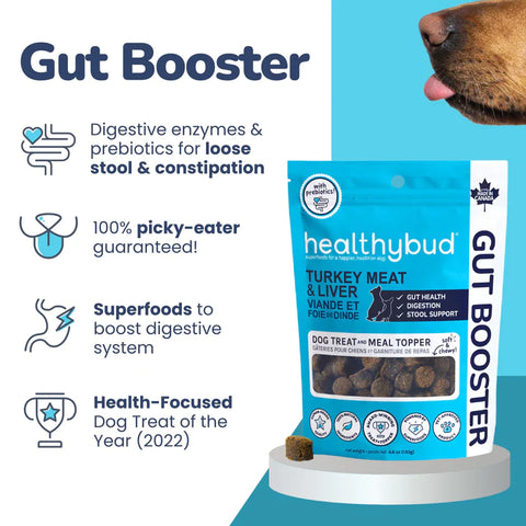 healthybud Gut Booster for Dogs - Turkey Meat & Liver