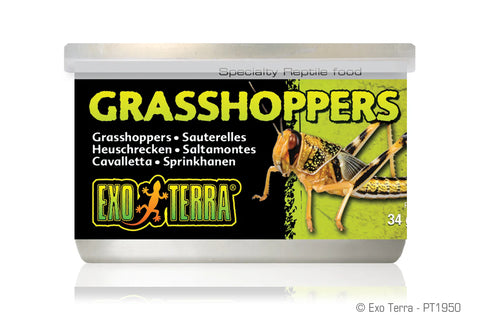 Exo Terra Canned Bugs