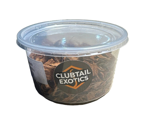 Clubtail Exotics Discoid Cockroaches - Small - 20pc