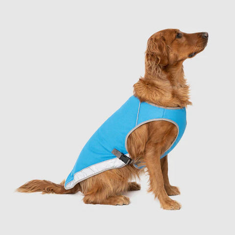 Canada Pooch | Chill Seeker Cooling Vest | Blue