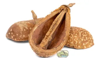 Badam Pods (2-pack)