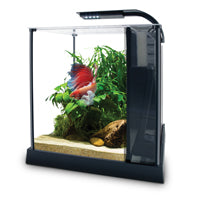 Fluval Premium Betta Kit - 2.6 Gallons