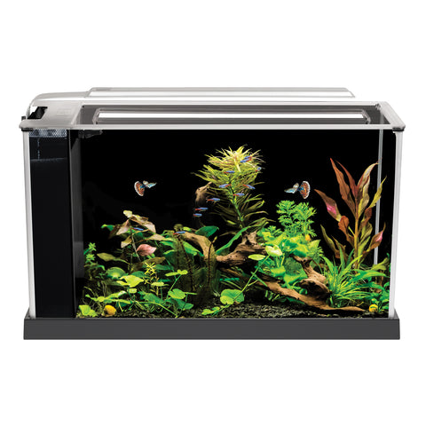 Fluval Spec Aquarium Kit - 5 Gallons - Black