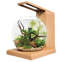 Fluval LIV Microscaping Aquarium Kit - Teak - 33cm x 31.75cm (13in x 12.5in)