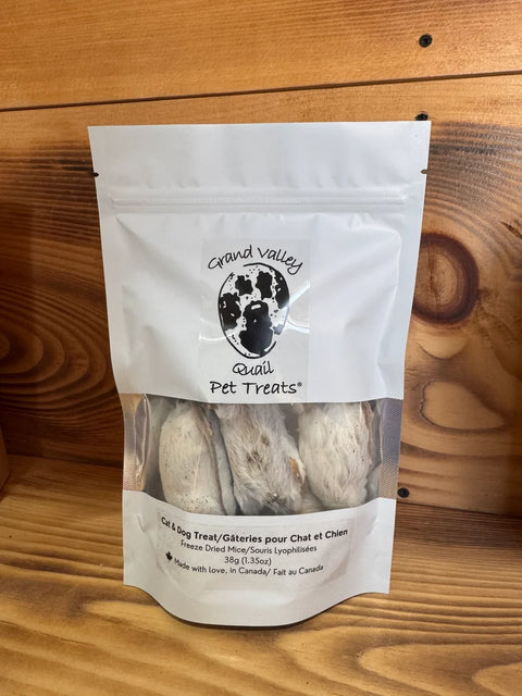 Freeze Dried Mice