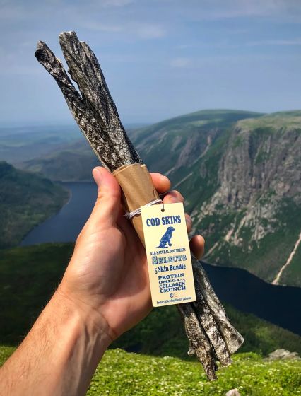 Land & Sea Cod Skin Selects - Bundle of 5 Skins - 12"