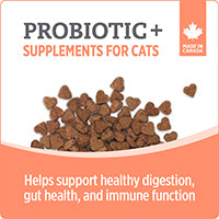 Nutrience Care Supplement for Cats - Probiotic+ - 180 g