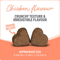 Nutrience Care Supplement for Cats - Probiotic+ - 180 g