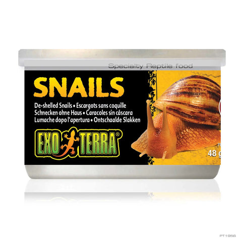 Exo Terra Canned Bugs