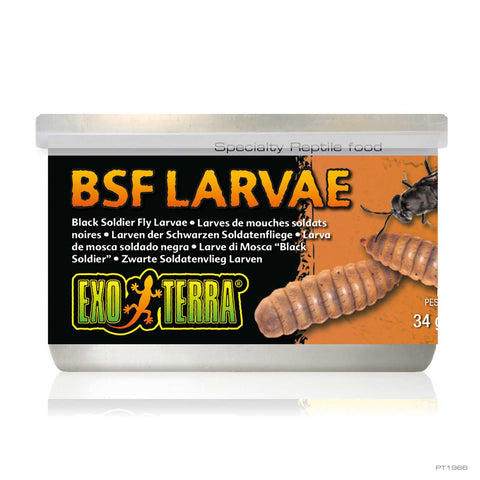 Exo Terra Canned Bugs