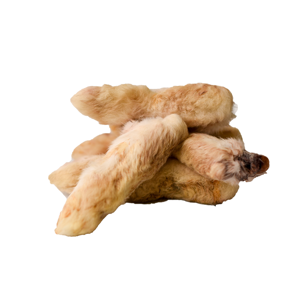 Rabbit Feet – The Beastiary
