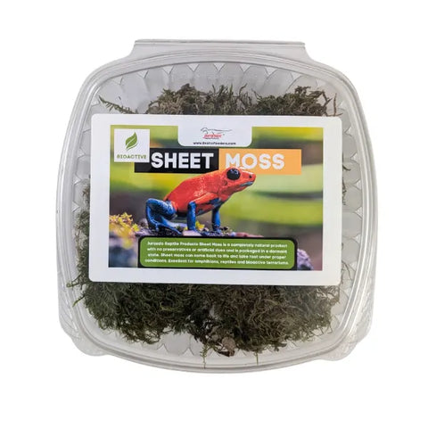 Living Sheet Moss