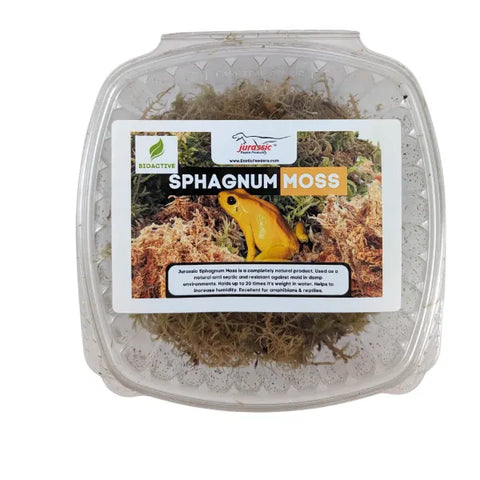 Living Sphagnum Moss