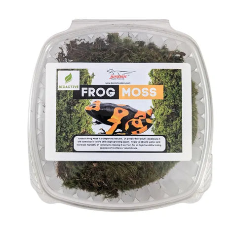 Living Frog Moss