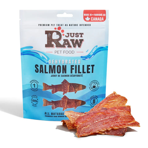 Just Raw - Dehydrated Salmon Fillet Treat - 100g