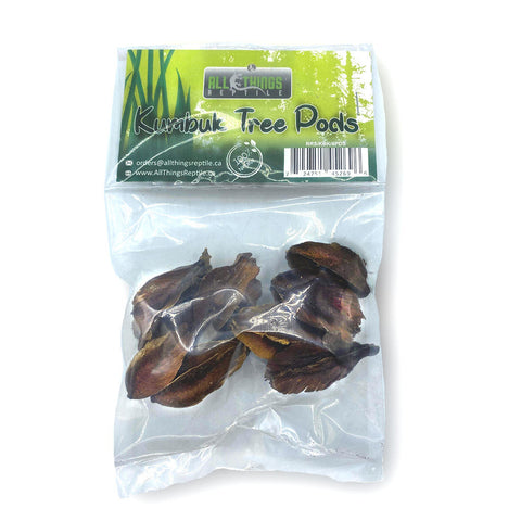 Kumbuk (Arjun) Tree Pods - 8 pieces