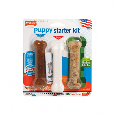 Nylabone Puppy Starter Kit - Regular