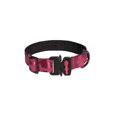 Canada Pooch Utility Dog Collar