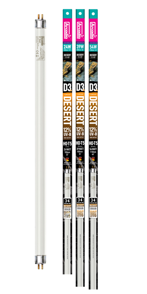 Arcadia T5 HO Desert D3+ 12% UVB Bulb