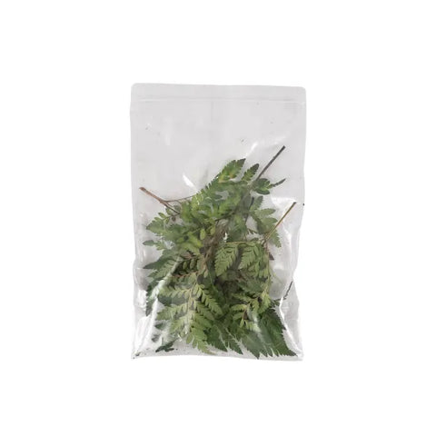 Leaf Litter - Fern Fronds Dried 100% Natural
