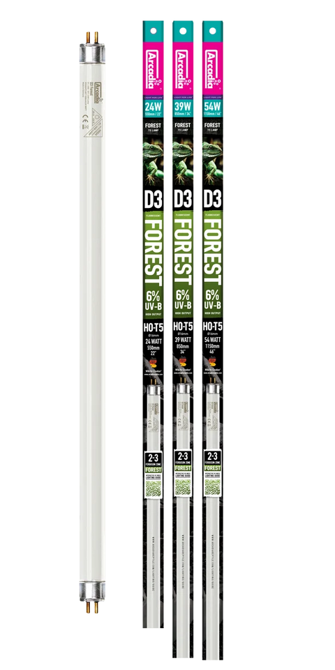 Arcadia T5 HO Forest D3+ 6% UVB Bulb
