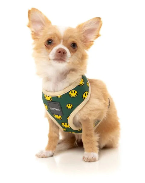 FuzzYard Biggie Smiles Harness