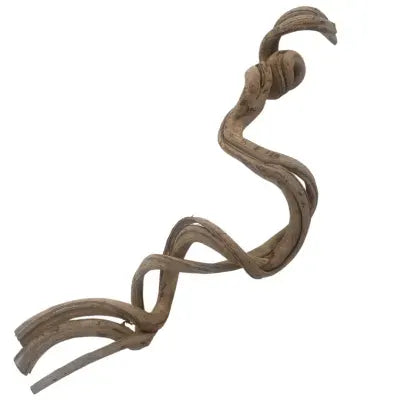 Rosca Vine - 16 to 18 "