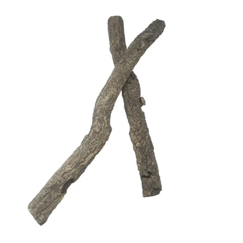 Cork Oak Branch - 14”-16”L
