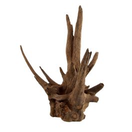 Underwater Treasures nano eucalyptus root