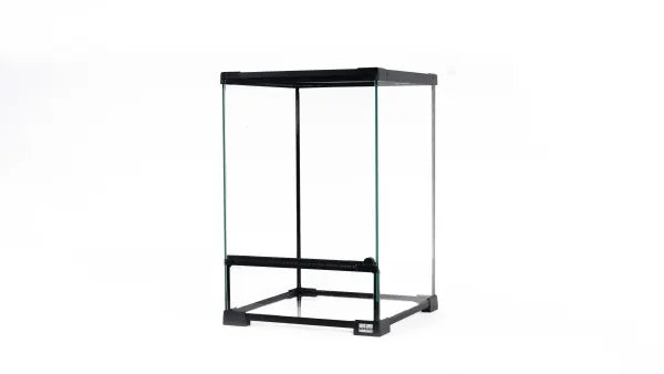 Jurassic Ultra Clear Glass Terrarium – The Beastiary