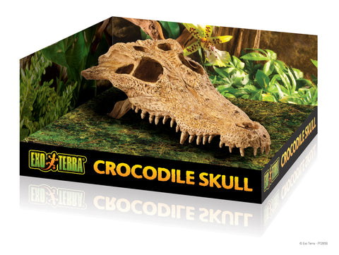 ExoTerra Terrarium Decor | Crocodile Skull