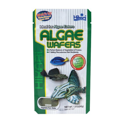 Hikari Algae Wafers