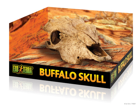 ExoTerra Terrarium Decor | Buffalo Skull