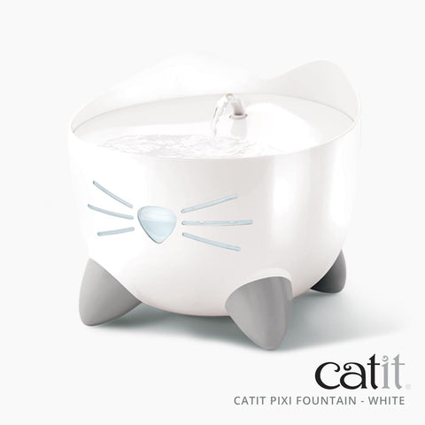 Catit Pixi Fountain | Assorted Colours