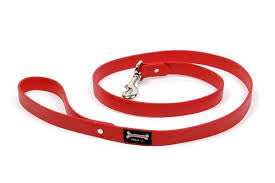 Smoochy Poochy Waterproof Leash | Red