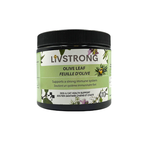 Livstrong Olive leaf Powder - 100g
