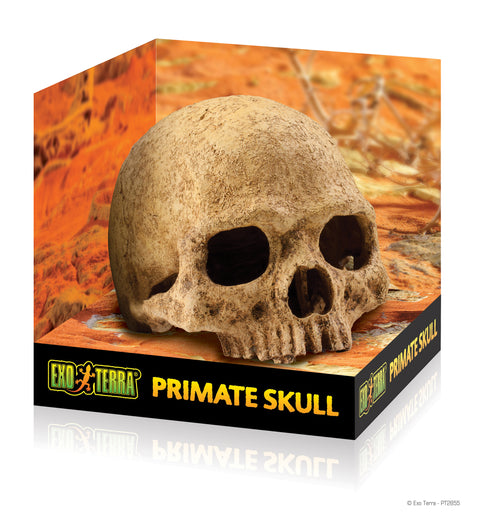 ExoTerra Terrarium Decor | Primate Skull