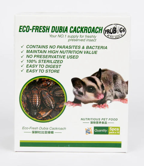 ProBugs Dubia Cockroach